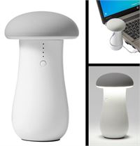 POWERBANK e LAMPADA